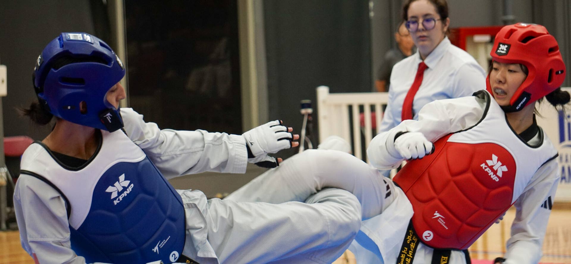 Taekwondo Ontario Provincial Championships