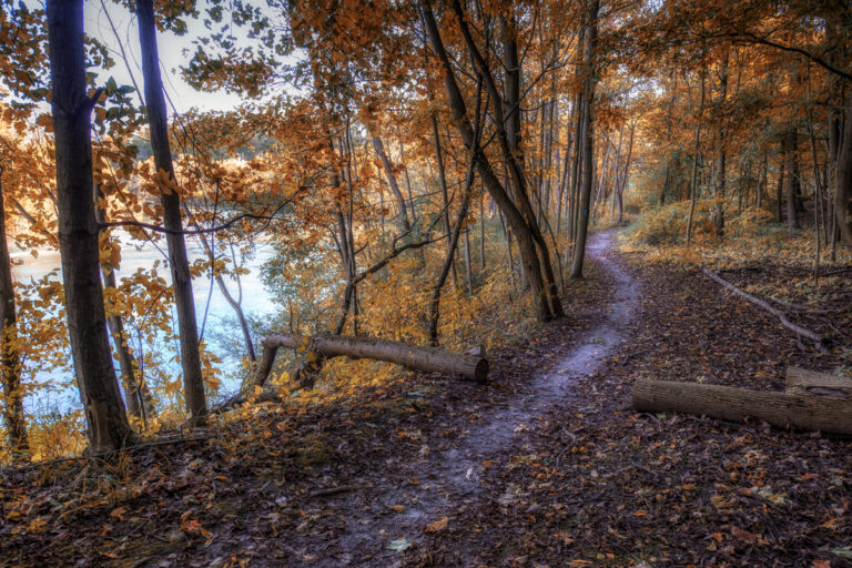 Twelve Mile Creek Mountain Bike Course